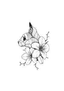 212x300 Japanese Cherry Blossom Drawings Fine Art America - Japanese Cherry Blossom Sketch