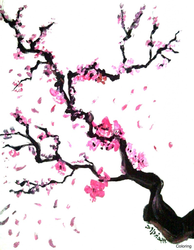 796x1024 Japanese Cherry Blossom Sketch - Japanese Cherry Blossom Sketch