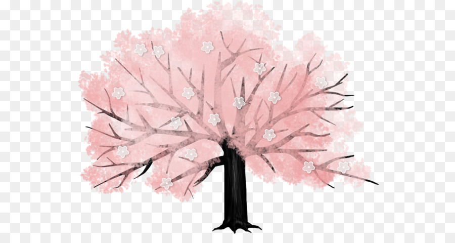 900x480 Cherry Blossom Tree Drawing - Japanese Cherry Blossom Tree Sketch