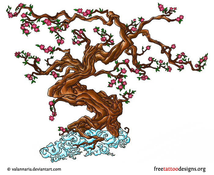 700x574 Collection Of Cherry Blossom Tree Tattoo Sketch - Japanese Cherry Blossom Tree Sketch