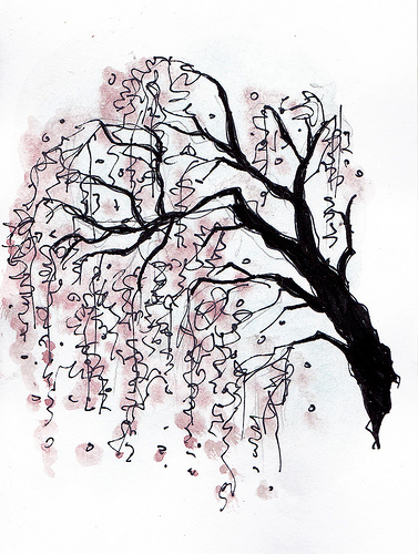 377x500 Japanese Cherry Blossom Coloring Pages 2399190 - Japanese Cherry Blossom Tree Sketch