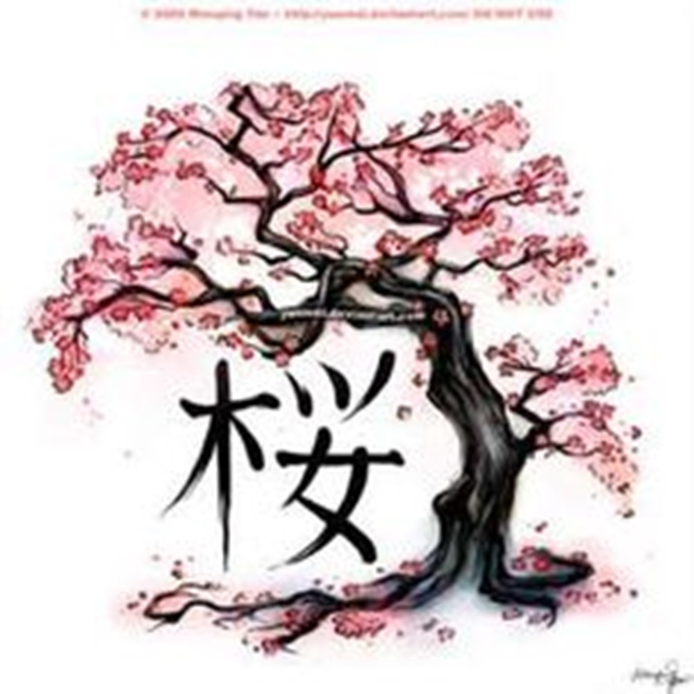 1000x1000 Japanese Cherry Blossom Sketch Cherry Tree Drawing Cherry Tree - Japanese Cherry Blossom Tree Sketch