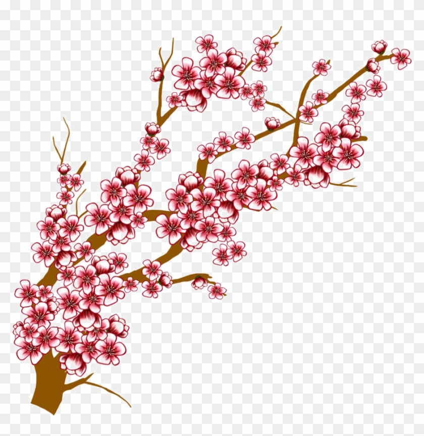 840x864 Japanese Flowering Cherry Transparent Background - Japanese Cherry Blossom Tree Sketch