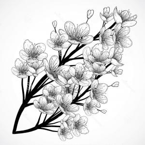 300x300 Tree Images Black And White Drawing Lazttweet - Japanese Cherry Blossom Tree Sketch