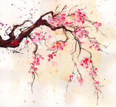 236x217 Japanese Cherry Blossom Watercolor Painting - Japanese Cherry Blossom Tree Sketch