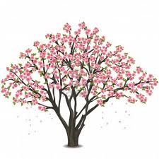 225x225 Cherry Blossom Tree Sketch - Japanese Cherry Blossom Tree Sketch