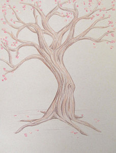 228x300 Cherry Blossom Tree Drawings Fine Art America - Japanese Cherry Blossom Tree Sketch