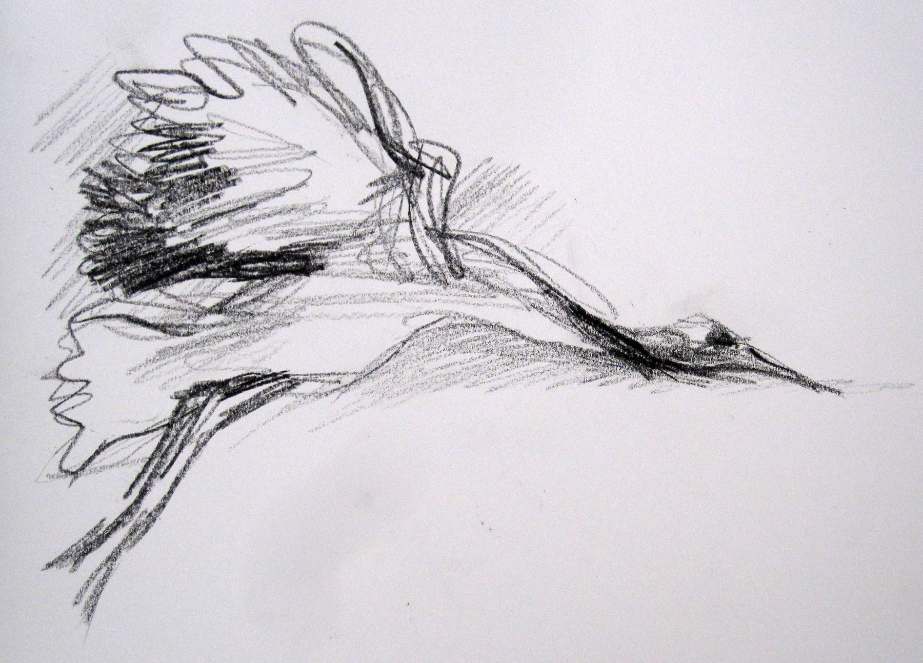 1800x1293 Japanese Crane Method Two Madness - Japanese Crane Sketch