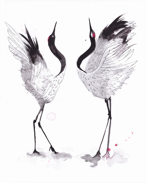 498x621 Japanese Crane Dance - Japanese Crane Sketch