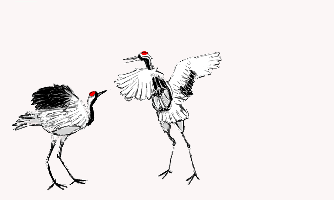 1154x692 Japanese Crane Line Drawing - Japanese Crane Sketch