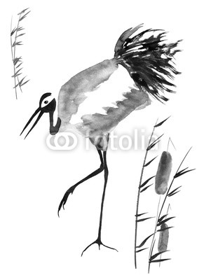 291x400 Japanese Crane Bird Drawing. Watercolor And Ink Illustration In - Japanese Crane Sketch