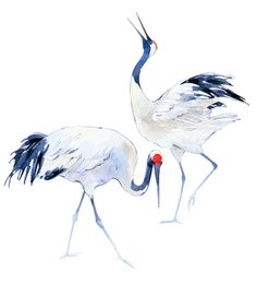 236x259 57 Best Crane Images Japanese Watercolor, Birds And - Japanese Crane Sketch
