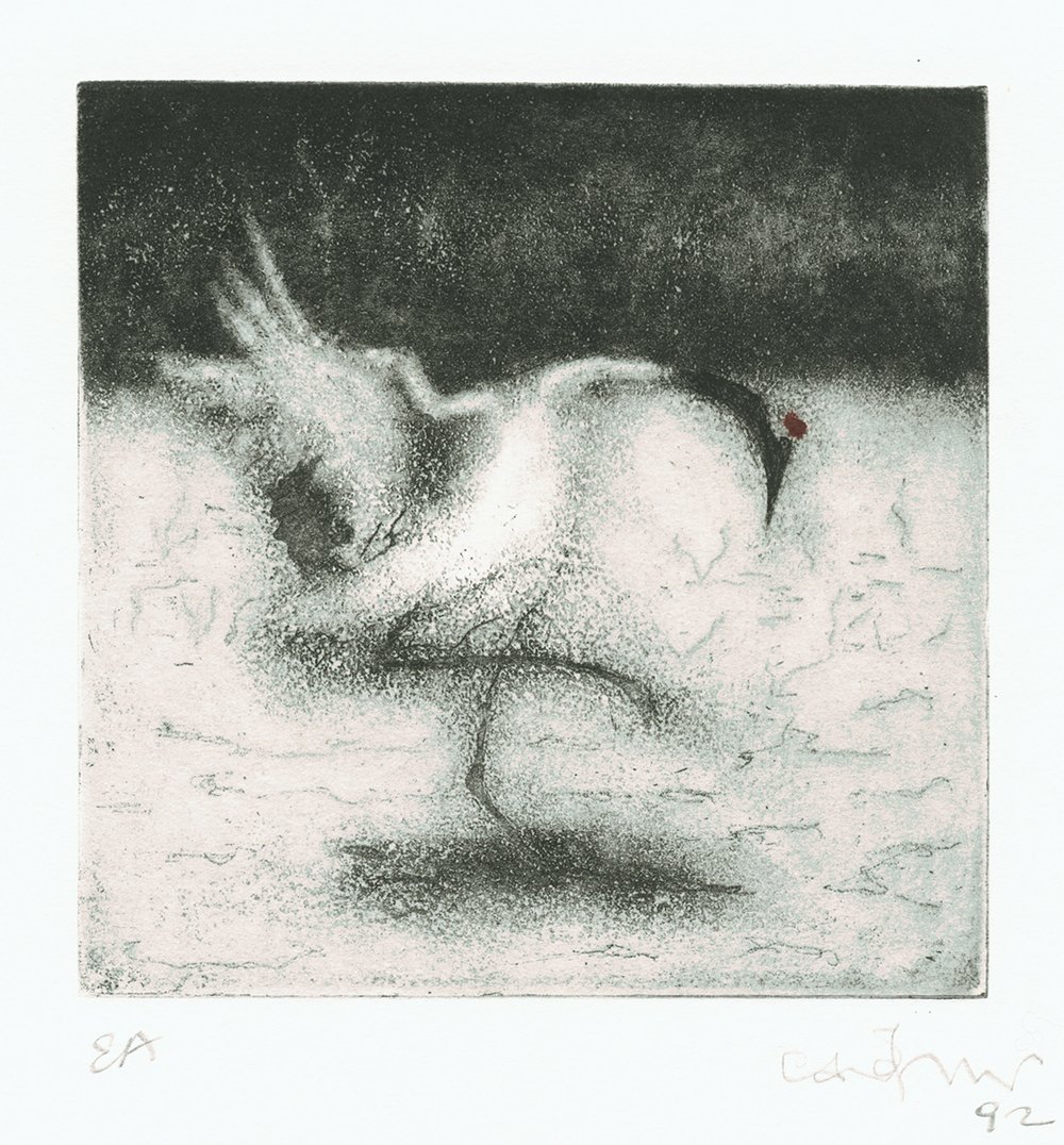 1000x1076 Anna Jeretic - Japanese Crane Sketch