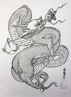 236x324 Japanese Dragon Sketches - Japanese Dragon Sketch