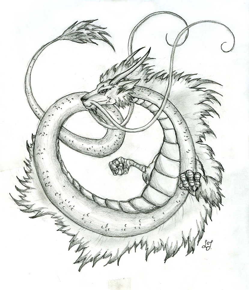 829x963 Japanese Dragon By Lizzy23 - Japanese Dragon Sketch