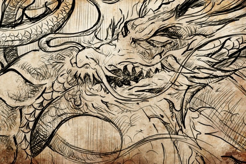 800x533 Tattoo Japanese Dragon Sketch, Handmade Design Over Vintage Paper - Japanese Dragon Sketch