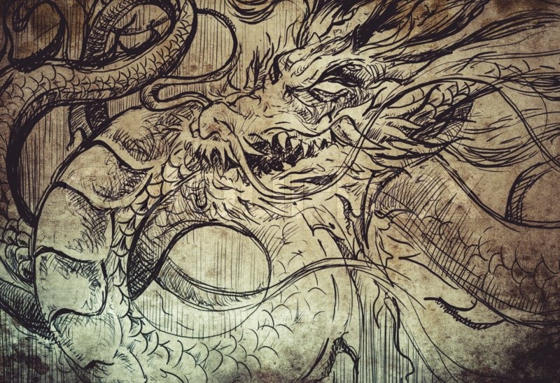 800x548 Japanese Dragon Tattoo Sketch, Handmade Design Over Vintage Paper - Japanese Dragon Tattoo Sketch