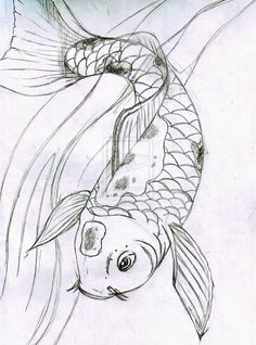 236x318 Pin By Megin Roebuck On Drawing Ideas Fish, Japanese - Japanese Fish Sketch