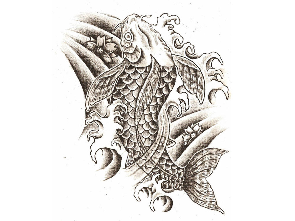 1024x768 Collection Of Koi Fish Tattoo Drawing Design High Quality - Japanese Fish Sketch