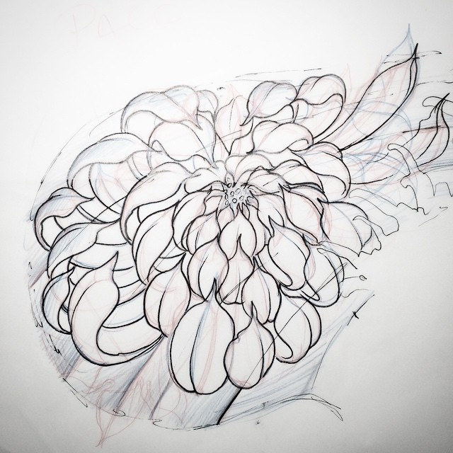 Japanese Flower Sketch at PaintingValley.com | Explore collection of ...