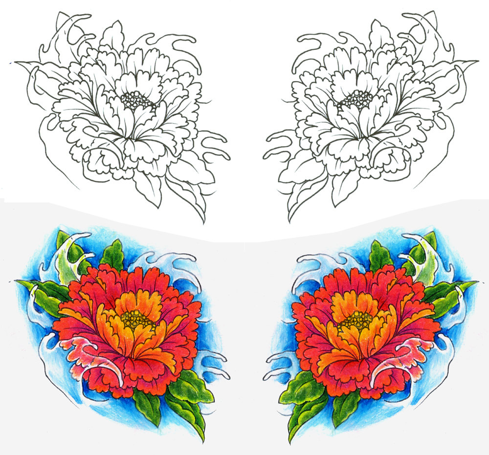 Peony Japanese Flower Flash Drawing Pictures - Japanese Flower Sketch. 