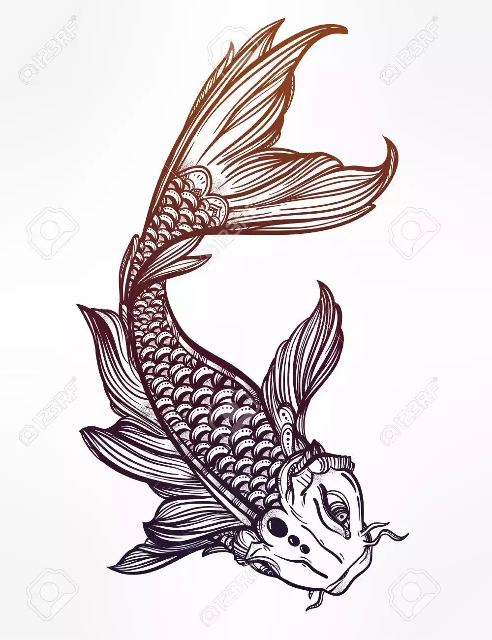 1000x1300 Pin By Anna Havens On Drawing Ideas Trash Polka - Japanese Koi Fish Sketches