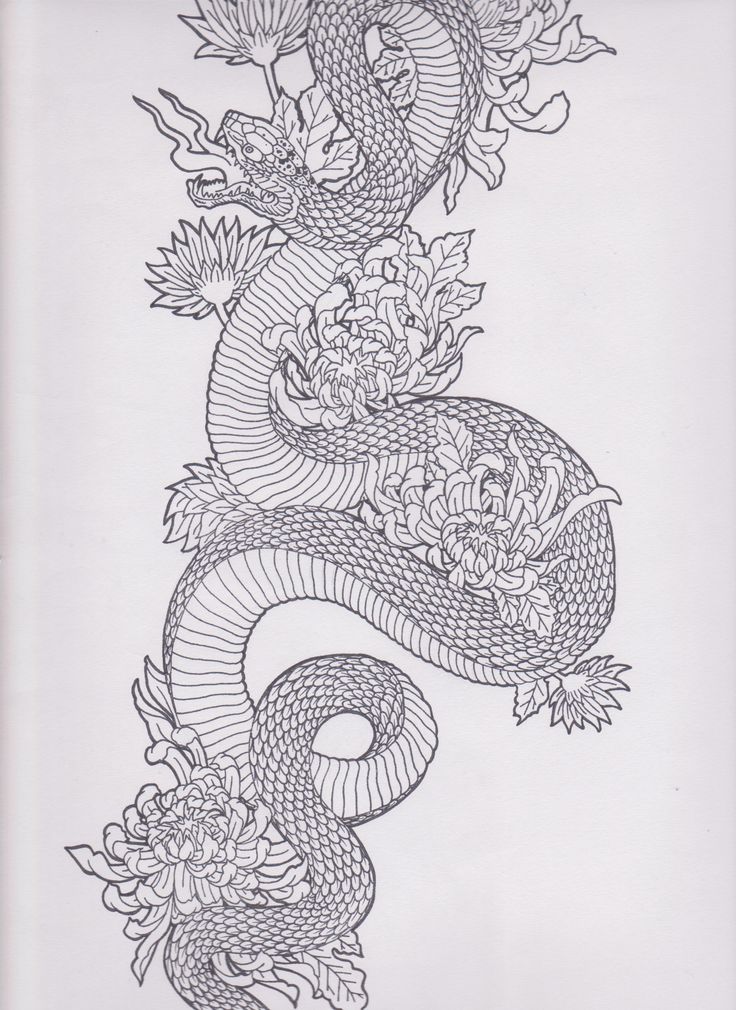 736x1010 Collection Of Japanese Snake And Clouds Tattoo Sketch - Japanese Mask Sketch