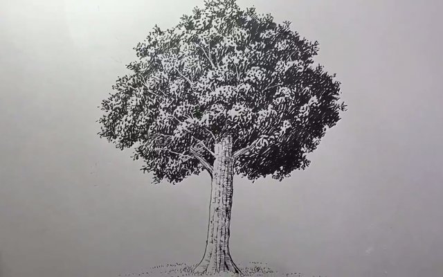 640x400 Japanese Artist Shows How To Effortlessly Draw This Realistic Tree - Japanese Tree Sketch