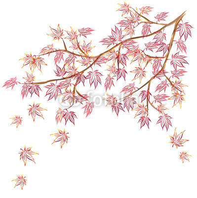 399x400 Japanese Maple (Acer Palmatum, Fullmoon Maple) Branch With Red - Japanese Tree Sketch