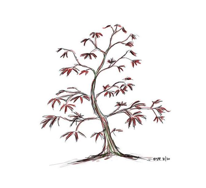 Japanese Tree Sketch at Explore collection of