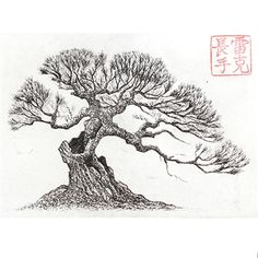 236x236 Line Drawing Leaves Twisting Tree By Ellfi - Japanese Tree Sketch