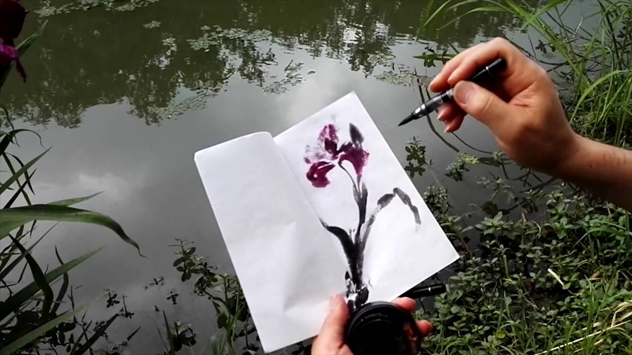 1280x720 Sumi Sketch Of Japanese Water Iris - Japanese Water Sketch