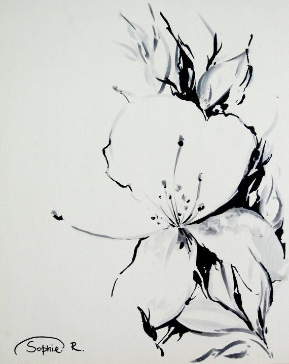 570x719 Jasmine Flower Original Drawing Black And White Botanical Floral - Jasmine Flower Sketch