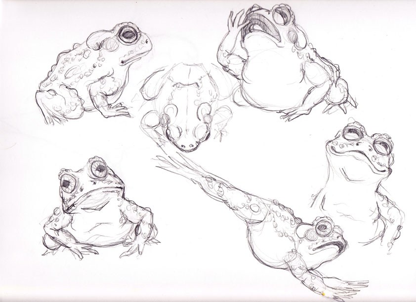 842x612 Meet Jasper - Jasper Sketch