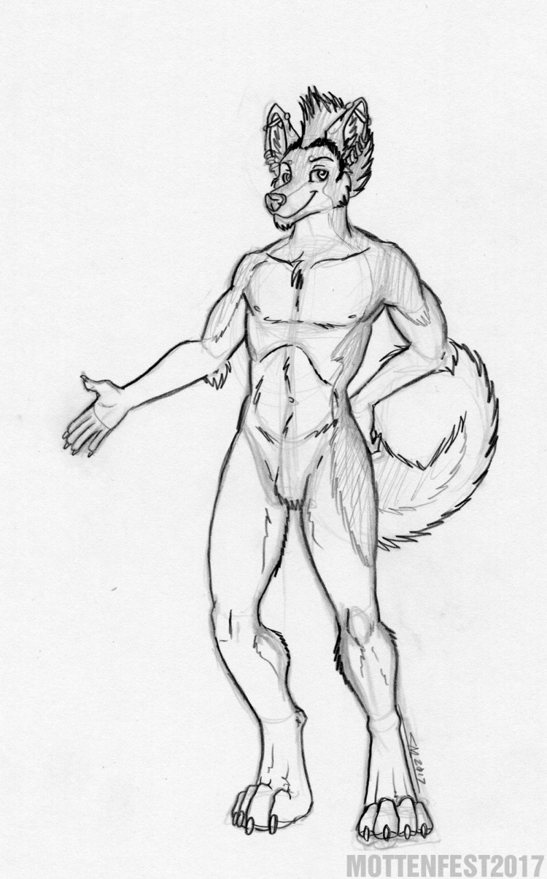 797x1280 Sketch Jasper The Husky By Urban Coyote - Jasper Sketch