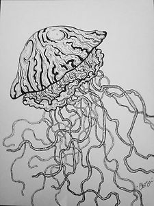 Jellyfish Sketch at PaintingValley.com | Explore collection of ...