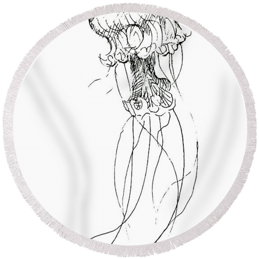 850x850 Jellyfish Sketch - Jellyfish Sketch