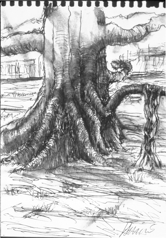 560x800 Jerry Garcia - Jerry Garcia Sketches