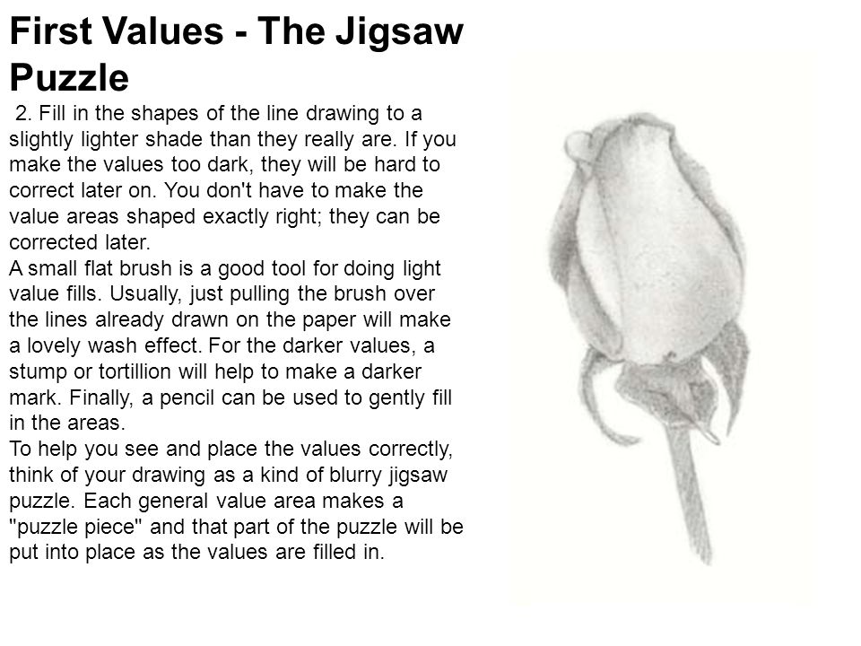 960x720 Line Drawing 1. The First Step In Creating A Realistic Rose Pencil - Jigsaw Puzzle Sketch