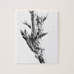 307x307 Sketch Jigsaw Puzzles - Jigsaw Puzzle Sketch