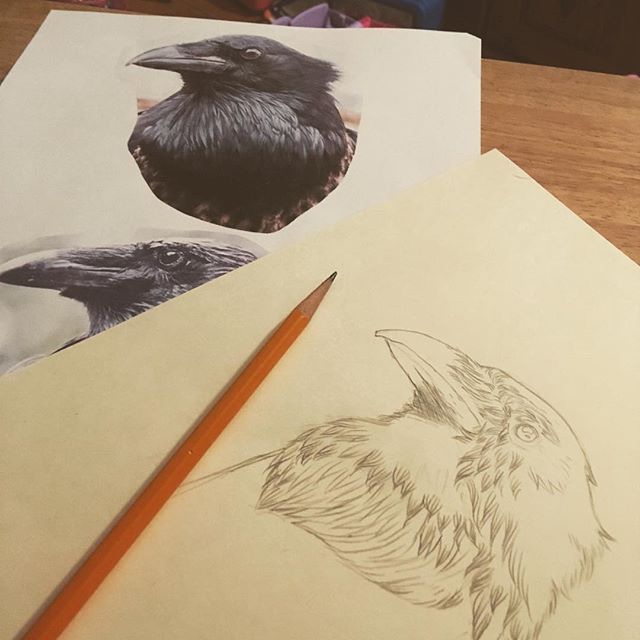 640x640 Sketch While Westworlding. Tomorrow Back To Work On Client - Job Sketch