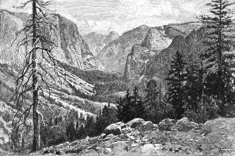 480x320 The Treasures Of The Yosemite. By John Muir, The Century Magazine - John Muir Sketches