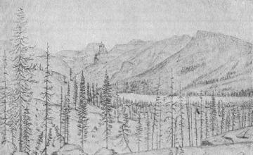 360x220 Fileview Of Tenaya Lake Showing Cathedral Peak By John Muir.jpg - John Muir Sketches
