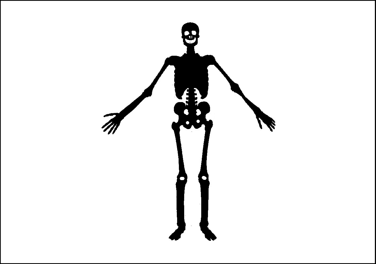 1280x900 Filejolly Roger Flag Of Pirate Olivier Levasseur (La Buse).png - Jolly Roger Sketch