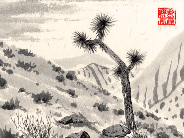 640x480 Joshua Tree National Park Mark W Mcginnis - Joshua Tree Sketch