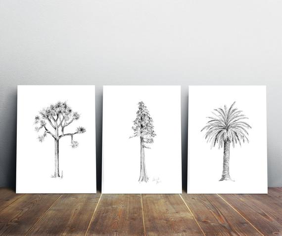 570x478 Tree Art Set Of 3 Giclee Prints Joshua Tree Drawing Etsy - Joshua Tree Sketch
