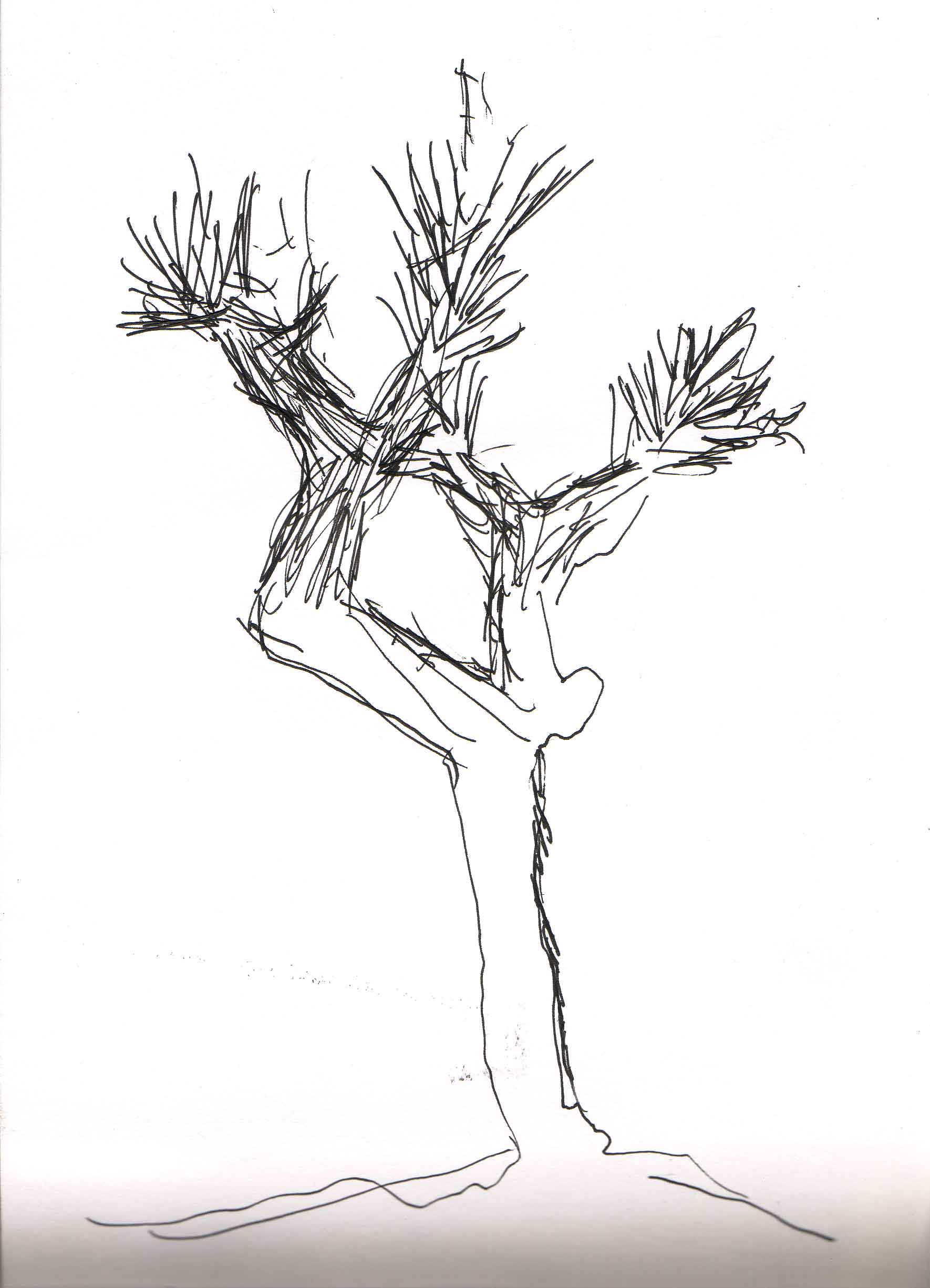 1770x2450 The Joshua Tree - Joshua Tree Sketch