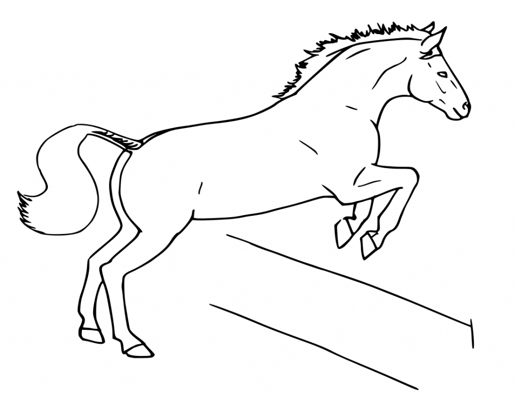 1024x791 How To Draw A Horse Jumping Easy - Jumping Horse Sketch