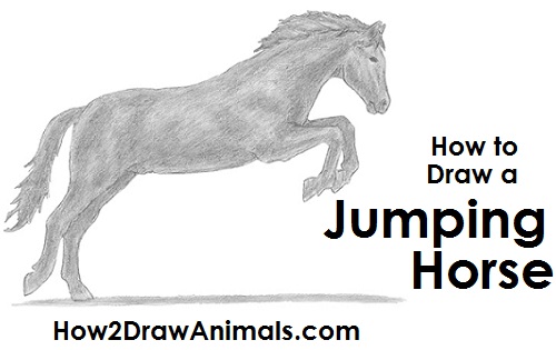 500x315 How To Draw A Horse Jumping - Jumping Horse Sketch