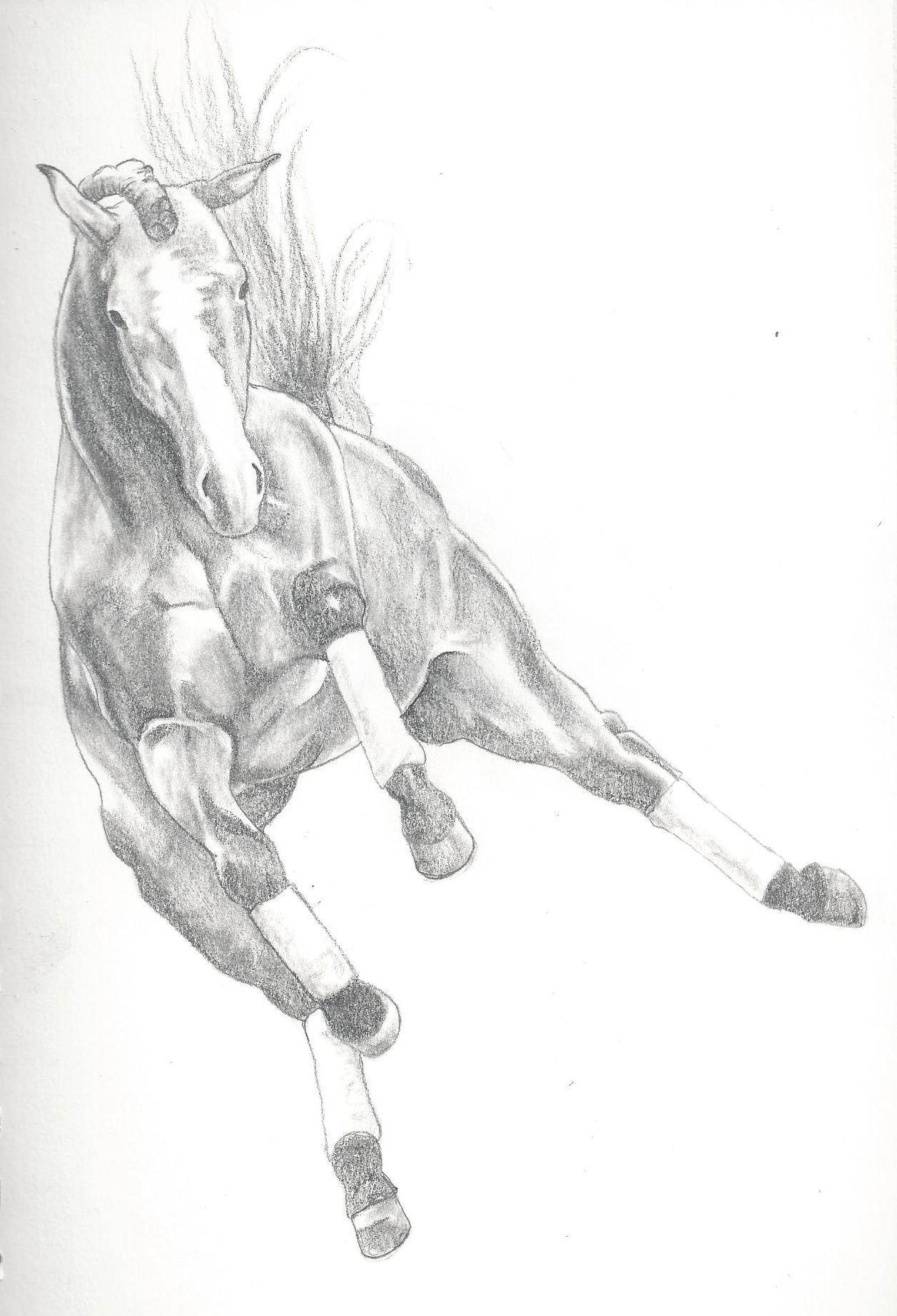 1257x1844 Jumping Horse Drawings In Pencil - Jumping Horse Sketch
